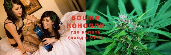 a pvp Богданович